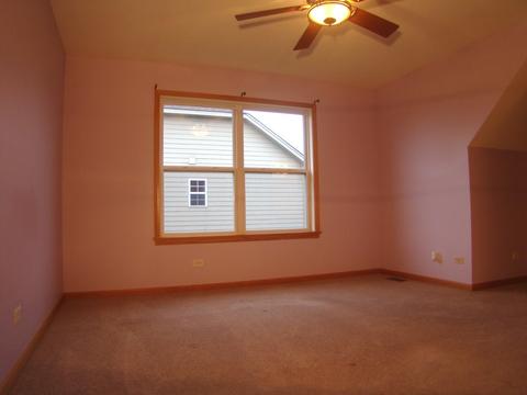 3810 Trillium Trl, Elgin, IL 60124 photo 57