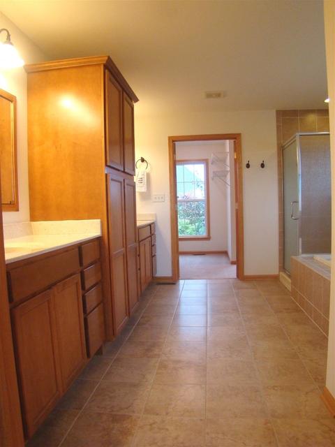 3810 Trillium Trl, Elgin, IL 60124 photo 41