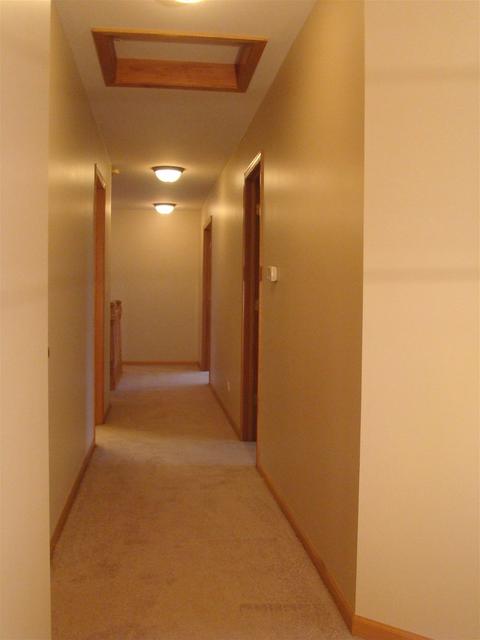 3810 Trillium Trl, Elgin, IL 60124 photo 58