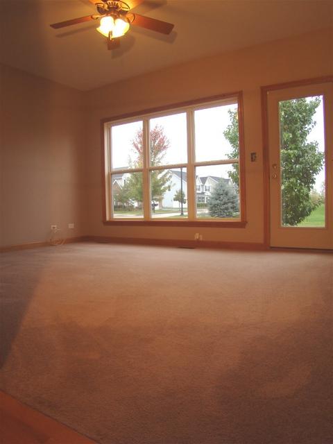 3810 Trillium Trl, Elgin, IL 60124 photo 17