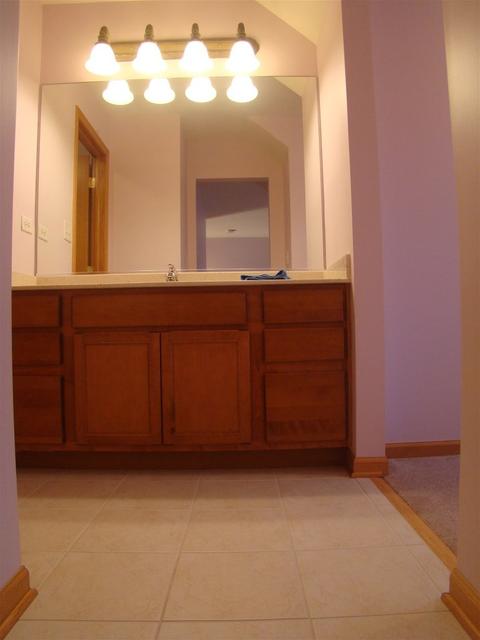 3810 Trillium Trl, Elgin, IL 60124 photo 51