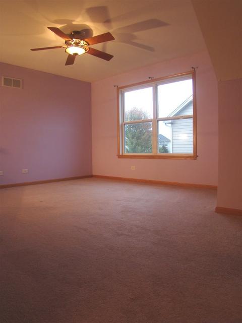 3810 Trillium Trl, Elgin, IL 60124 photo 54