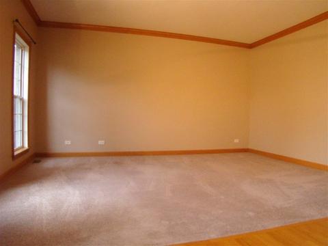 3810 Trillium Trl, Elgin, IL 60124 photo 16