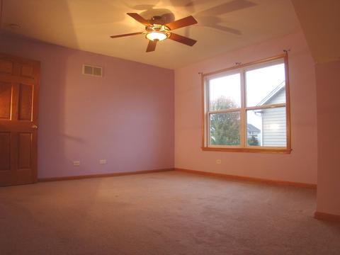3810 Trillium Trl, Elgin, IL 60124 photo 56