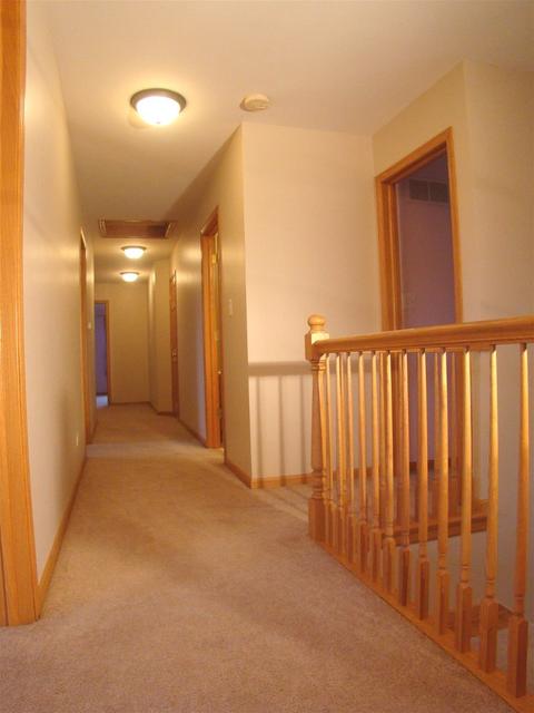 3810 Trillium Trl, Elgin, IL 60124 photo 48