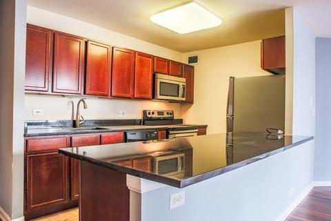 222 E Pearson St #2308, Chicago, IL 60611 photo 3