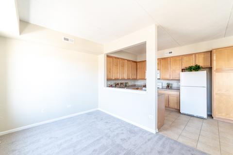 511 Prestwick Ln #205, Wheeling, IL 60090 photo 13