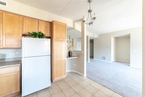 511 Prestwick Ln #205, Wheeling, IL 60090 photo 23