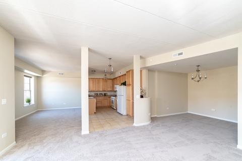 511 Prestwick Ln #205, Wheeling, IL 60090 photo 24