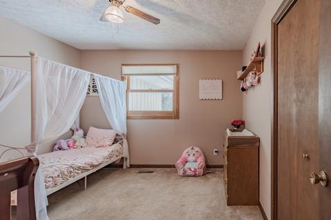 413 S School St, Minier, IL 61759 photo 18