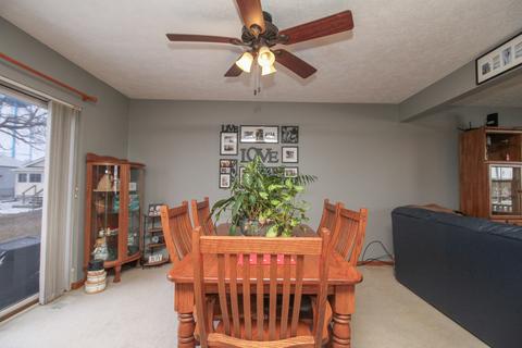 302 S Lincoln St, Downs, IL 61736 photo 8