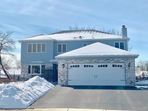 60 Deeke Ct, Roselle, IL 60172 photo 1