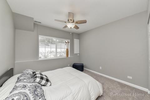162 River Mist Dr, Oswego, IL 60543 photo 22