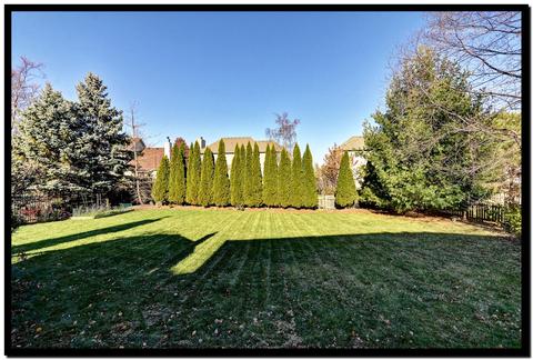 24704 Kingston St, Plainfield, IL 60544 photo 34