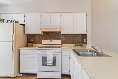 265 Juniper Cir, Streamwood, IL 60107 photo 3