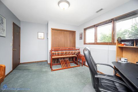 650 N Summit St, Wheaton, IL 60187 photo 14