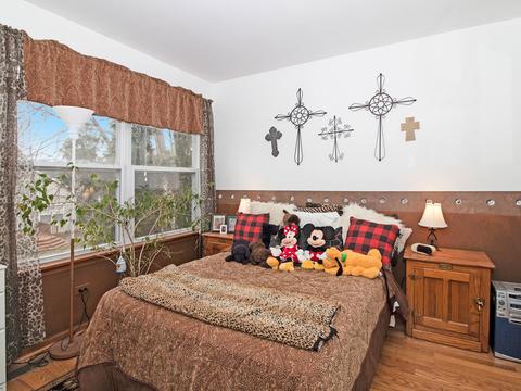 2047 Winding Lakes Dr, Plainfield, IL 60586 photo 13