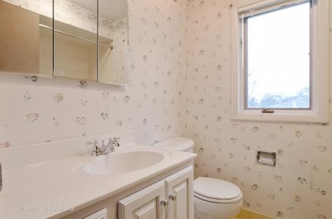 917 S Maple St, Mount Prospect, IL 60056 photo 11