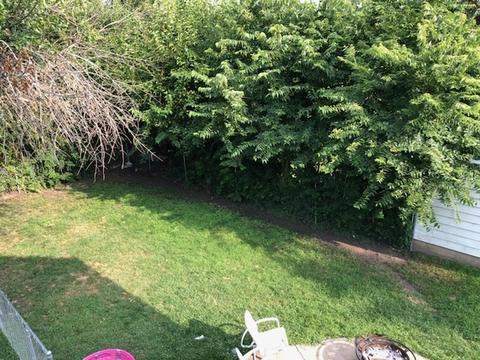 536 Chambers St, Ottawa, IL 61350 photo 14