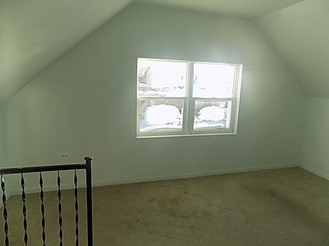 3946 S Center Ave, Lyons, IL 60534 photo 9
