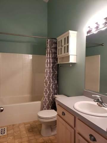 1470 Fox Hound Trl, Beecher, IL 60401 photo 19