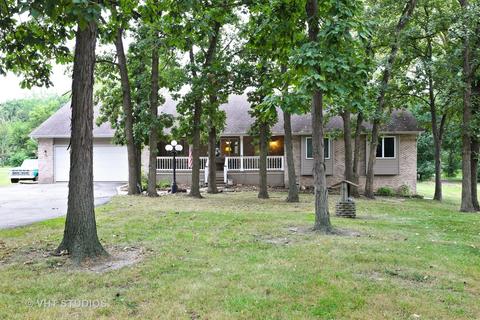 23002 Miller Rd, Steger, IL 60475 photo 1