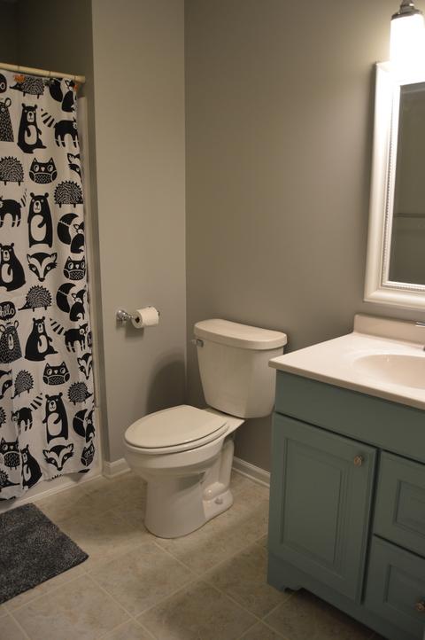 1011 Forest View Dr, Morris, IL 60450 photo 24