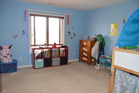 1011 Forest View Dr, Morris, IL 60450 photo 22