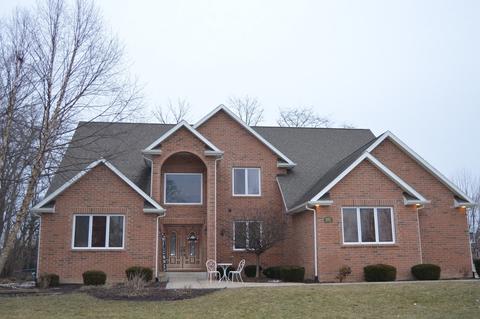 1011 Forest View Dr, Morris, IL 60450 photo 1