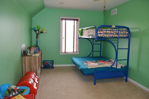 1011 Forest View Dr, Morris, IL 60450 photo 23