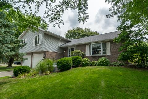 25317 W Willow Dr, Plainfield, IL 60544 photo 1