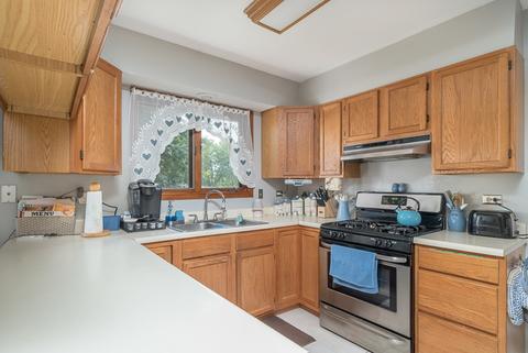 25317 W Willow Dr, Plainfield, IL 60544 photo 9