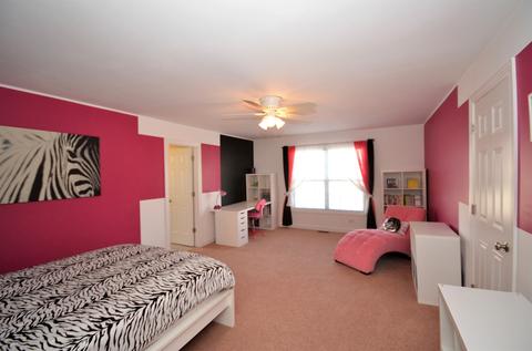 12933 Alpine Way, Plainfield, IL 60585 photo 26