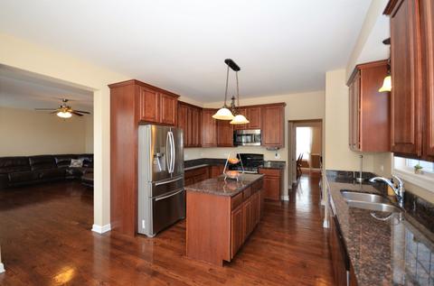 12933 Alpine Way, Plainfield, IL 60585 photo 3