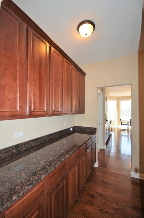 12933 Alpine Way, Plainfield, IL 60585 photo 10