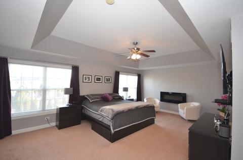 12933 Alpine Way, Plainfield, IL 60585 photo 17