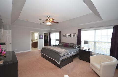 12933 Alpine Way, Plainfield, IL 60585 photo 18
