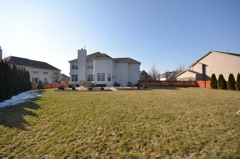 12933 Alpine Way, Plainfield, IL 60585 photo 39