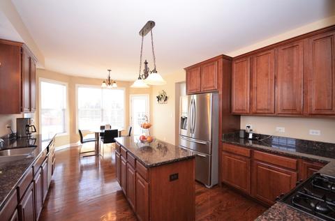 12933 Alpine Way, Plainfield, IL 60585 photo 2
