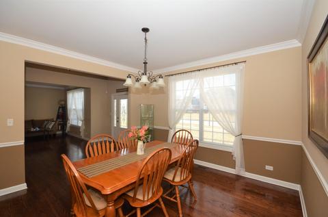 12933 Alpine Way, Plainfield, IL 60585 photo 9