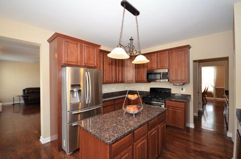 12933 Alpine Way, Plainfield, IL 60585 photo 4