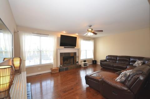 12933 Alpine Way, Plainfield, IL 60585 photo 13