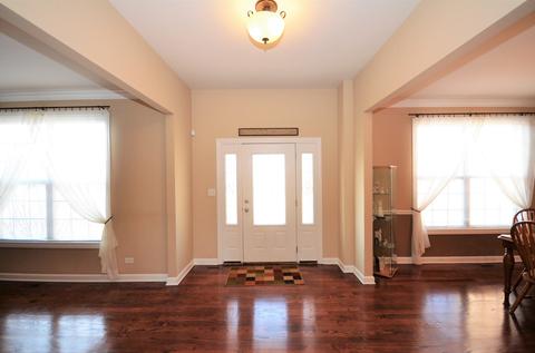 12933 Alpine Way, Plainfield, IL 60585 photo 7