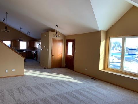 127 Devonshire Dr, Crete, IL 60417 photo 4