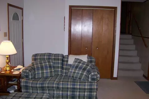 221 E Bachtold Dr, Forrest, IL 61741 photo 3