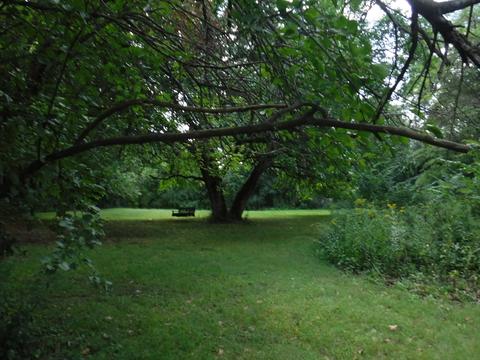 16349 S Forest Edge Dr, Plainfield, IL 60586 photo 7