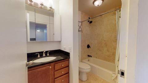 222 E Pearson St #1906, Chicago, IL 60611 photo 12