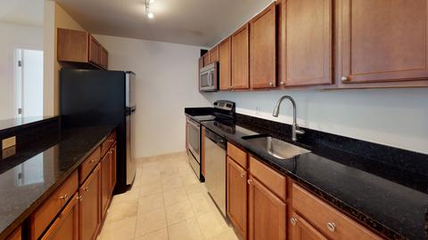 222 E Pearson St #1906, Chicago, IL 60611 photo 6