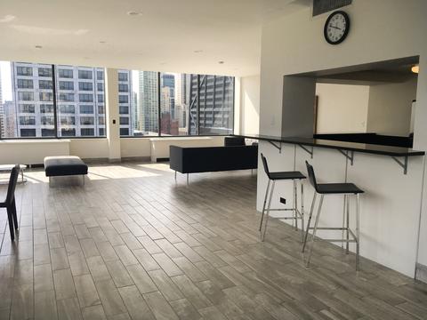 222 E Pearson St #1906, Chicago, IL 60611 photo 22