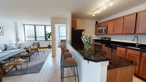 222 E Pearson St #1906, Chicago, IL 60611 photo 5